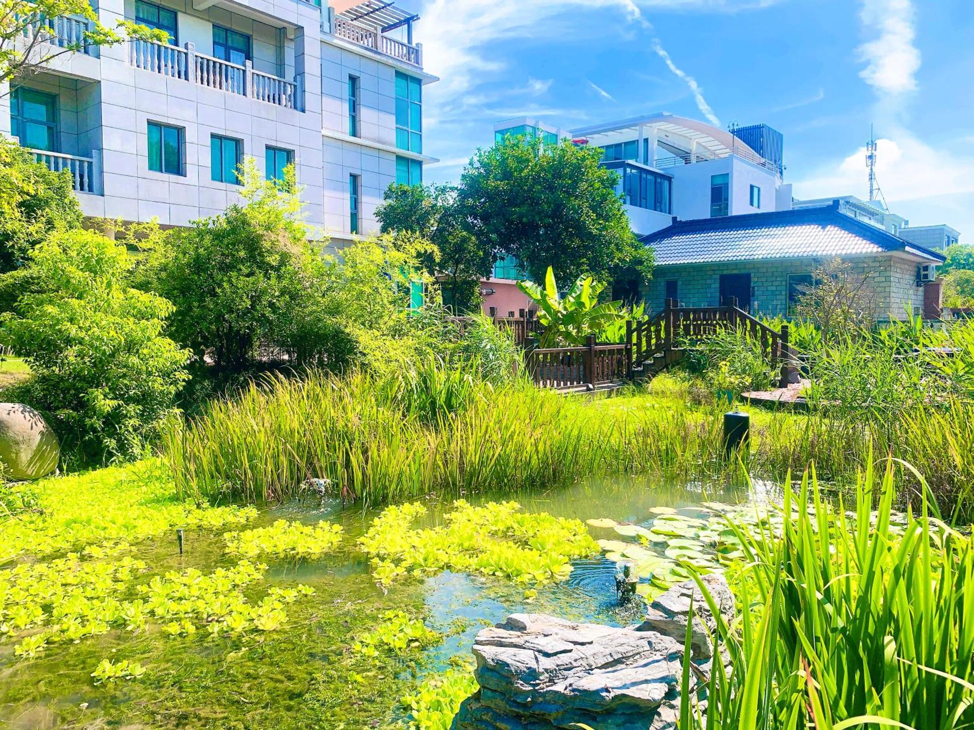 Shushe Hotel Šanghaj Exteriér fotografie