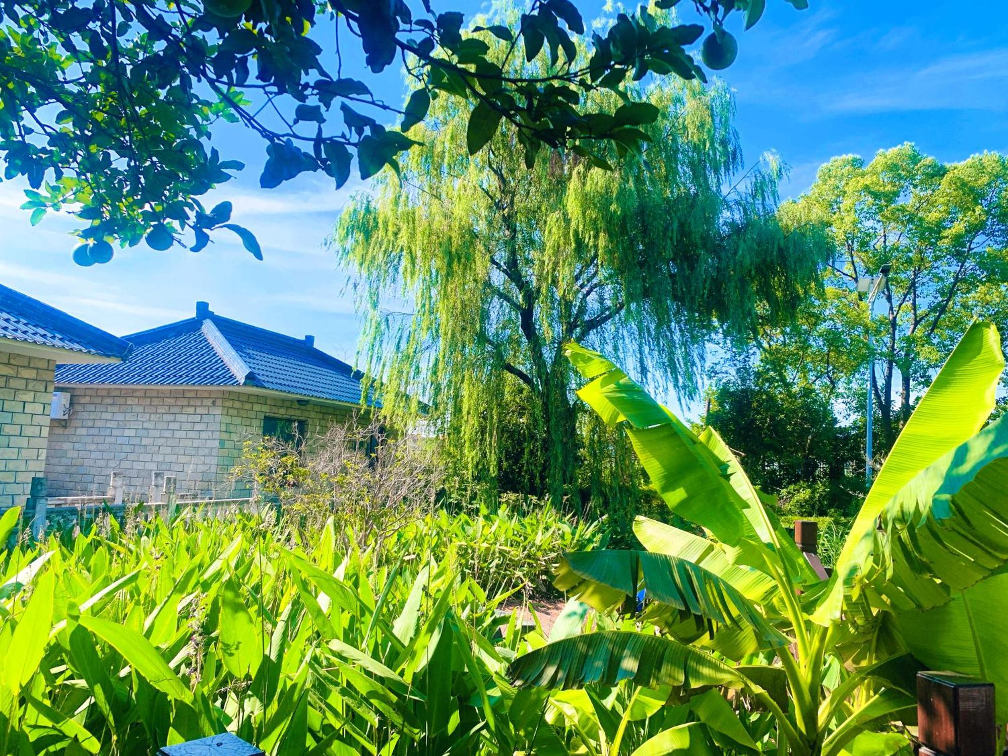 Shushe Hotel Šanghaj Exteriér fotografie