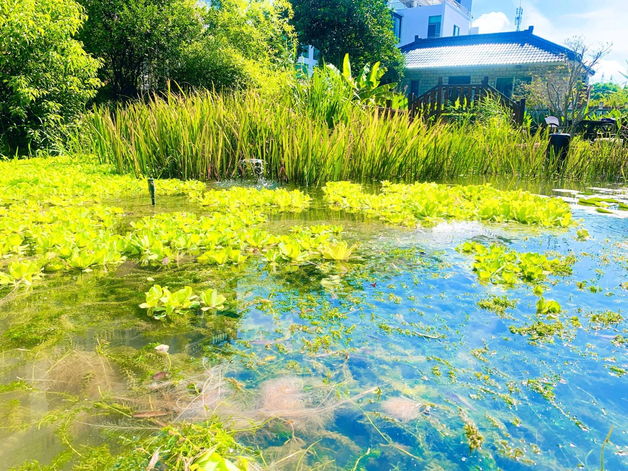 Shushe Hotel Šanghaj Exteriér fotografie